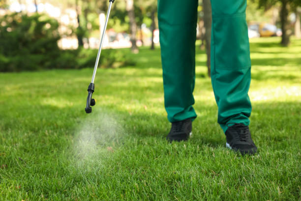 Best Best Pest Control Companies  in Old Jefferson, LA