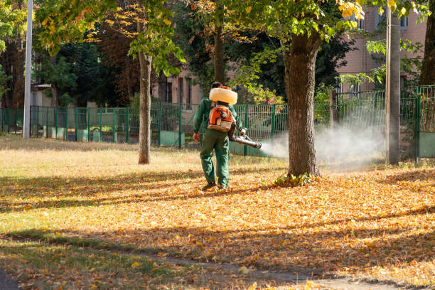 Best Bed Bug Extermination  in Old Jefferson, LA