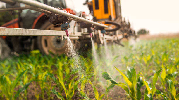 Pest Control Cost in Old Jefferson, LA